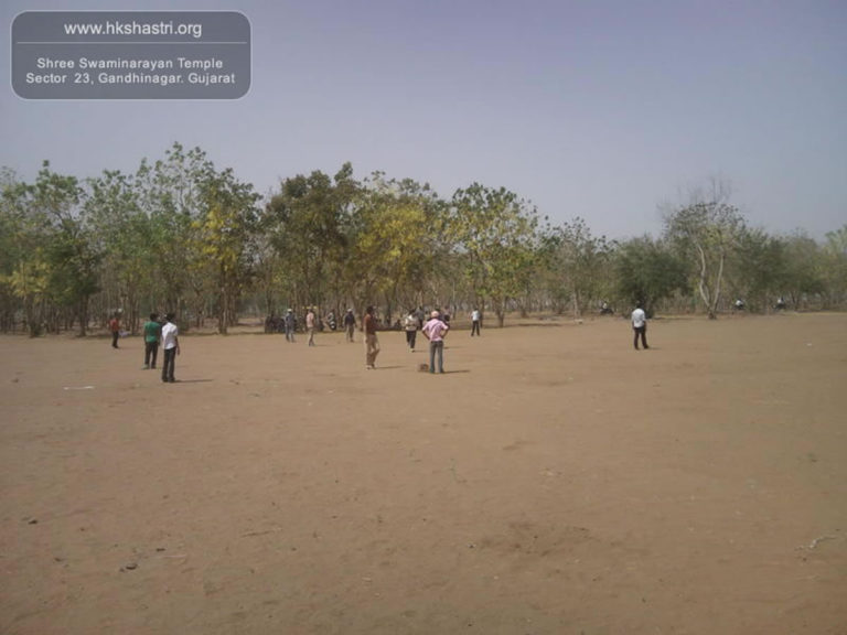Summer Cricket Match