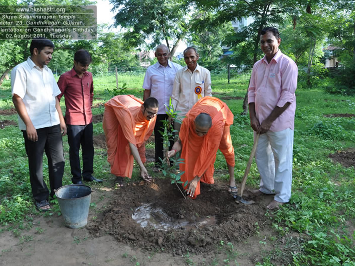 Gandhinagar Birthday Tree Plantation