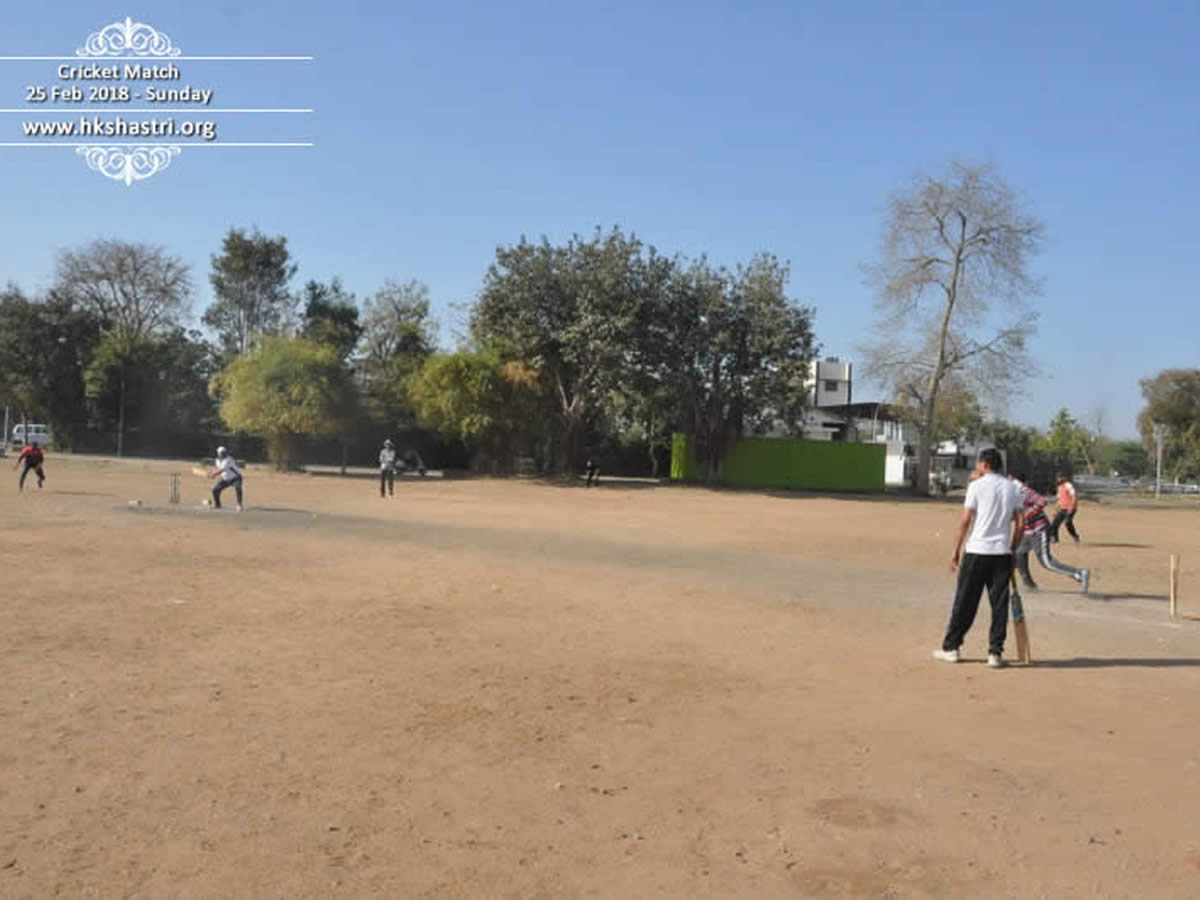 Winter Cricket Match