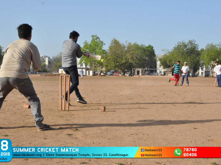 Summer Cricket Match