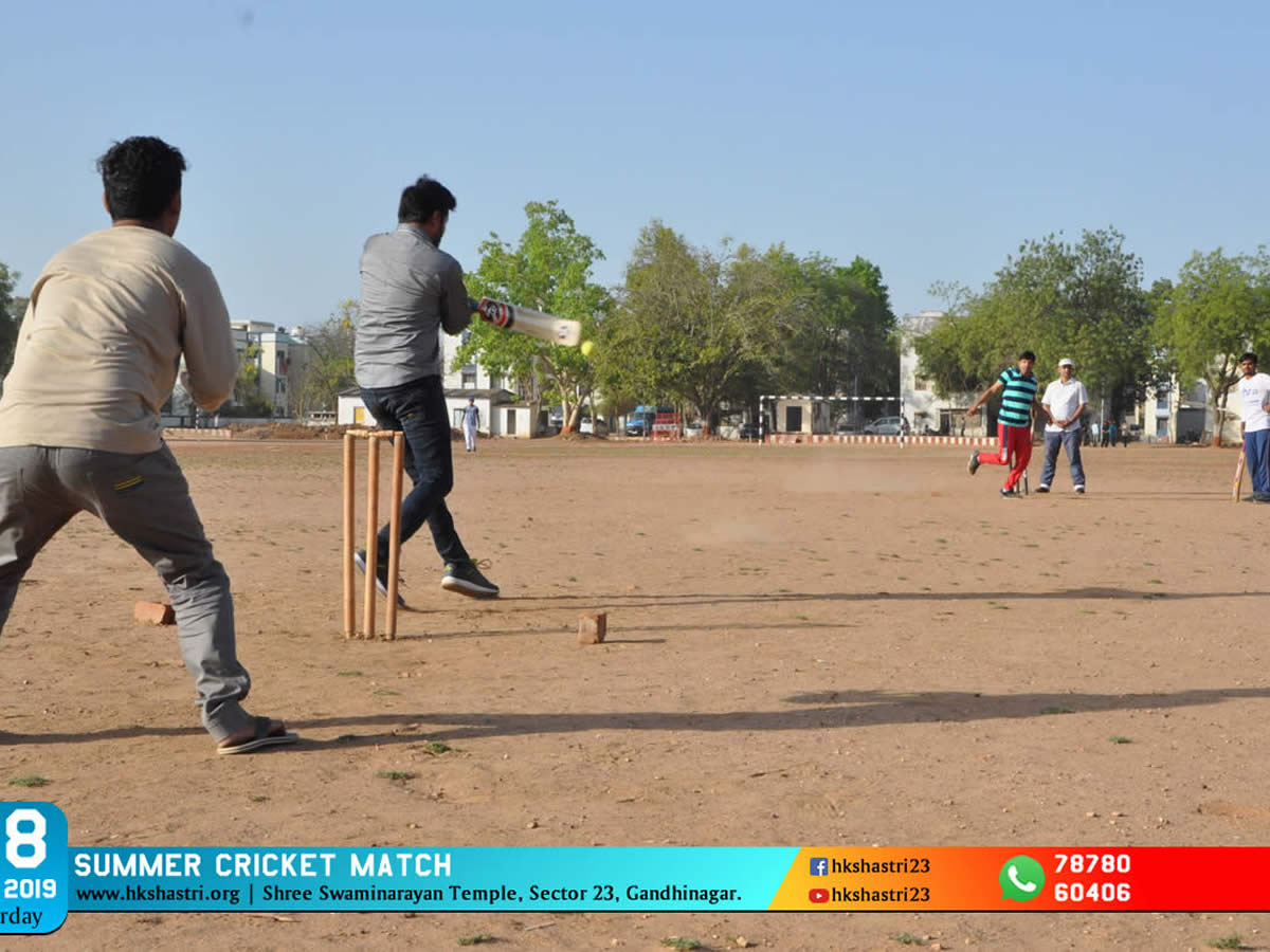 Summer Cricket Match
