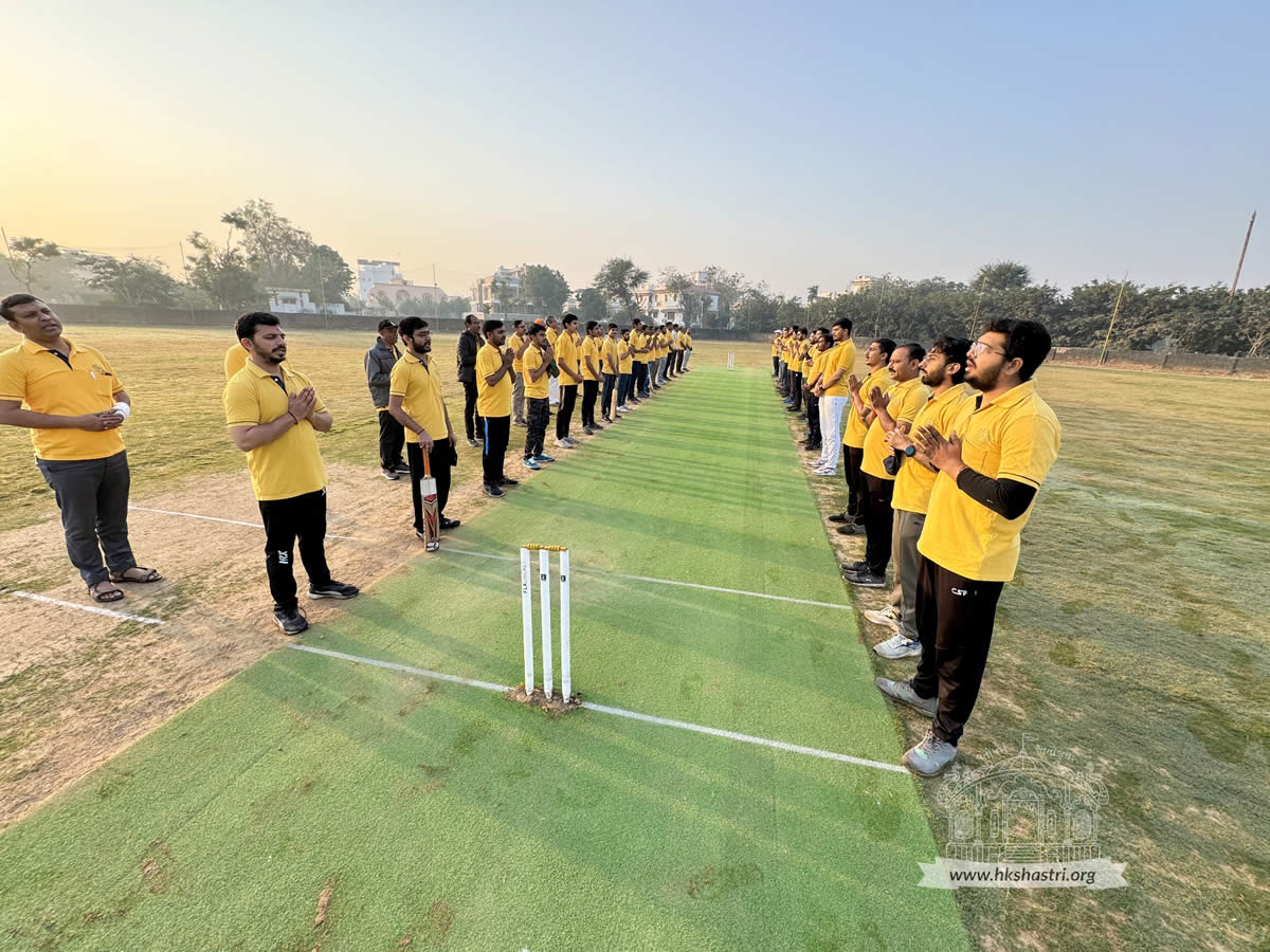 IPL / Winter Cricket Match