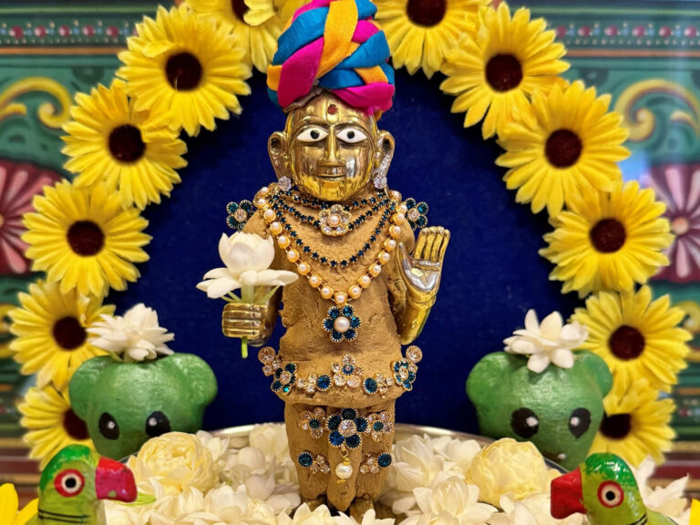 Chandan Na Vagha 2024