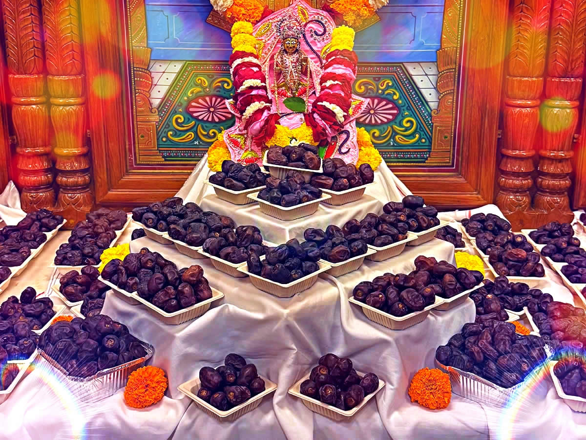 Khajoor Seeds Shangaar – 25 Jan 2025 - HKShastri