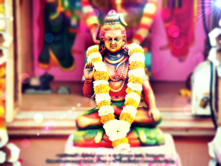 Shivratri Pujan – HK Shastri, Swaminarayan Mandir Gandhinagar